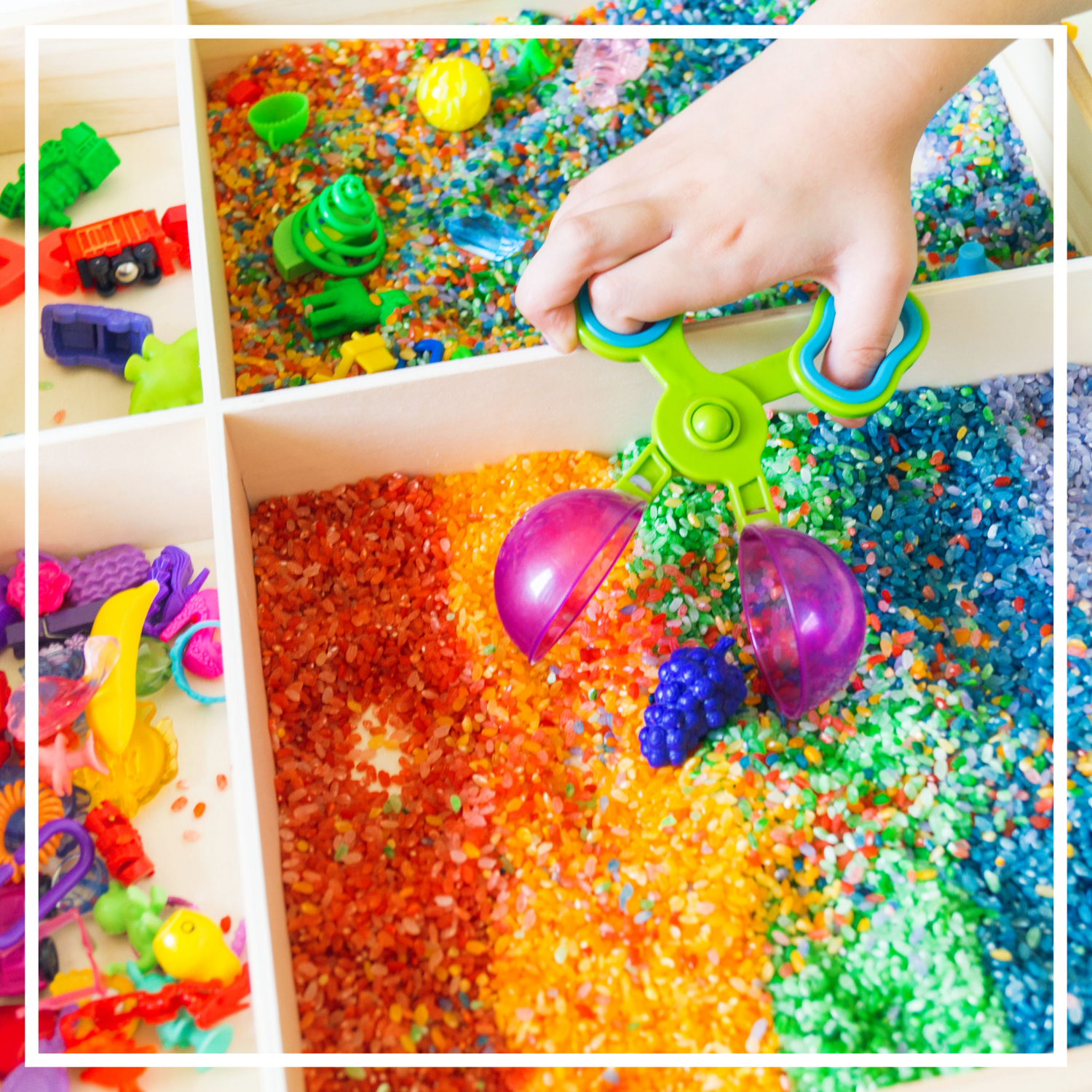 Sensory Play Toys